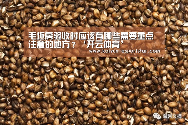开云赛事