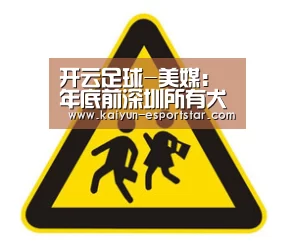 开云足球-美媒:年底前深圳所有犬只将植入芯片以加强监管(图2) 开云赛事